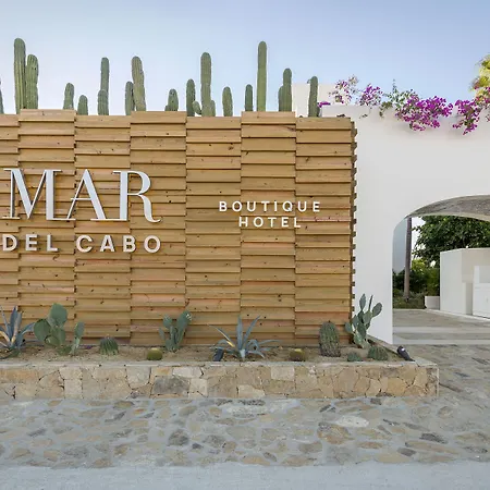 Mar Del Cabo By Velas Resorts Adults Only-2