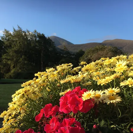 Enniskeen Country House Hotel-3