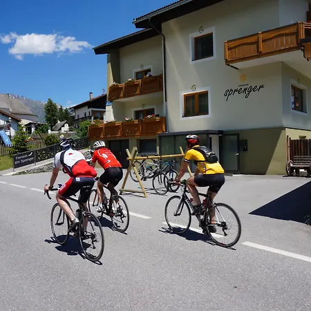 Pension Sprenger-3
