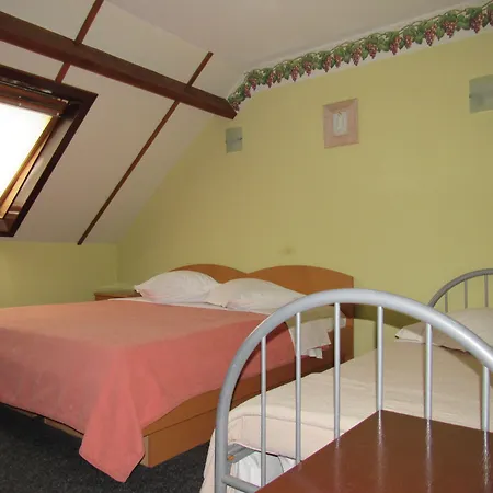 Hotel In Den Hoek-3