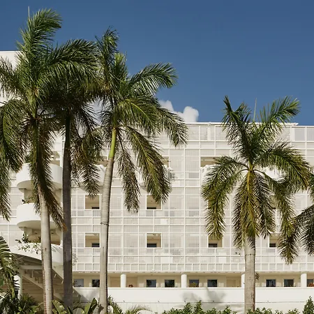 Palm Heights-2