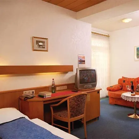 Hotel-Restaurant Zur Mainlust-3
