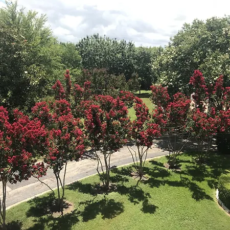 The Plantation House Boutique Inn-3