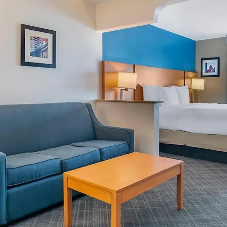 Comfort Suites Auburn Hills-Detroit-3