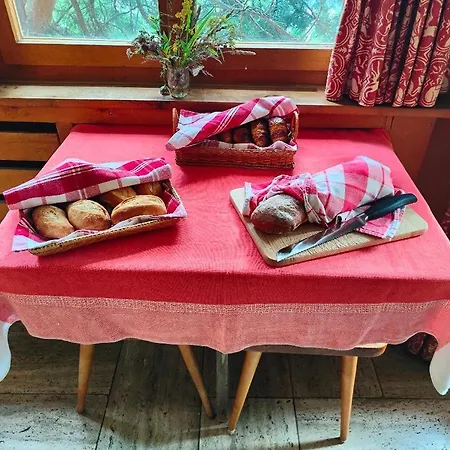 Arche de Noé B&B-3
