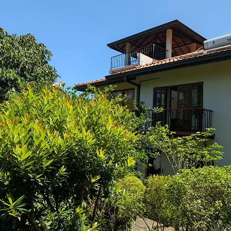 Windy Ridge Kandy-3