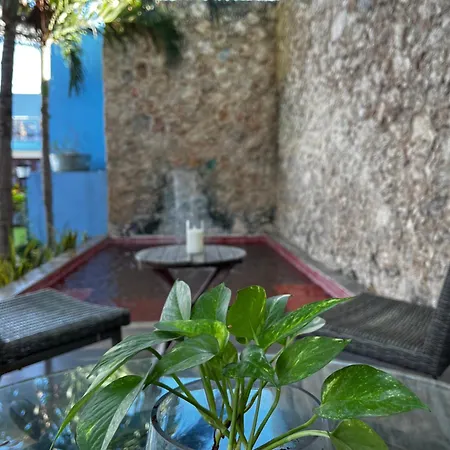 Hotel Maculis-2