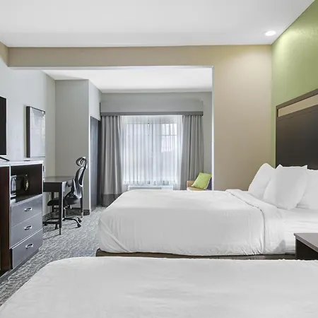 Best Western Plus Bay City Inn & Suites-3