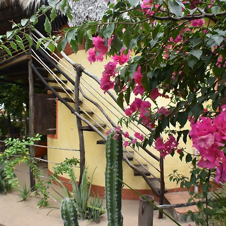 Posada Mexico-3