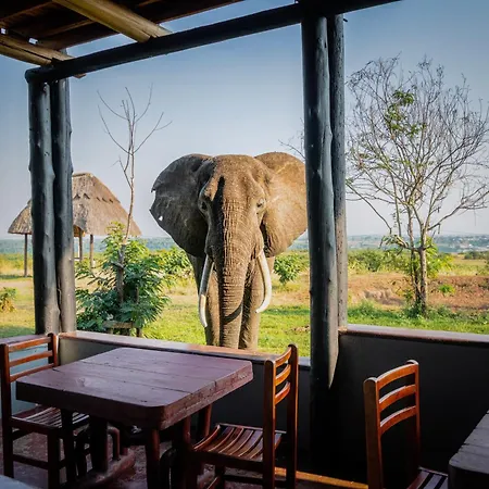 Enshama Game Lodge And Campsite-3