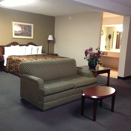 Executive Inn Of Mt Pleasant.-2