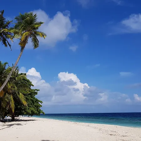 Blue World Dharavandhoo-2