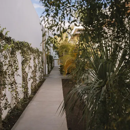 Aevum Resort-3