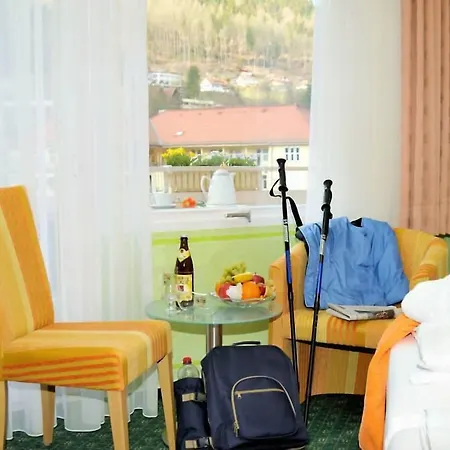 Hotel Weingaertner-2