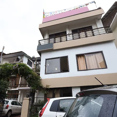 Oyo 13410 Hotel Sunflower-3