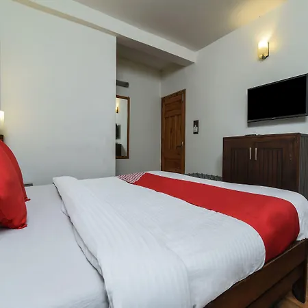 Oyo 13410 Hotel Sunflower-2