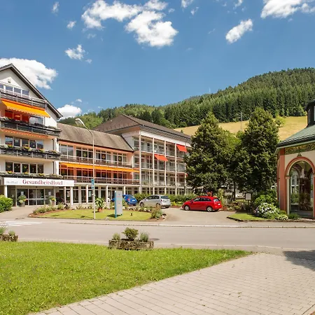 GesundheitsHotel Das Bad Peterstal-3