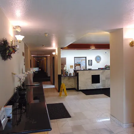Bellis Inn-3