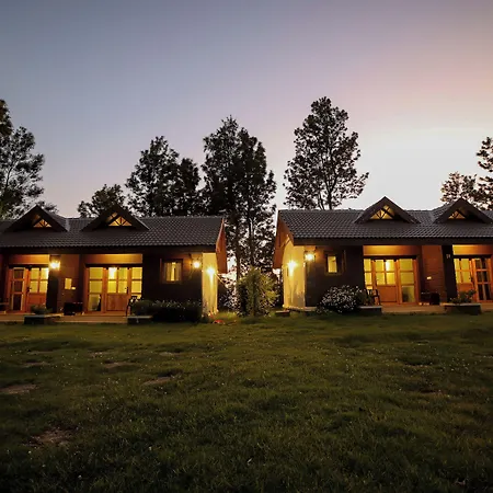 Logan Camp Ooty-2
