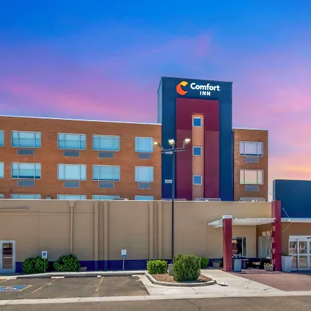 Comfort Inn Portales-3