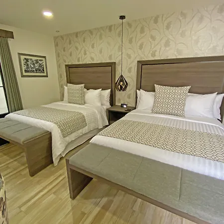 Parral 14 Boutique Hotel-3