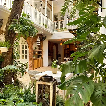 Mosquito Boutique Hotel Zona Colonial-3