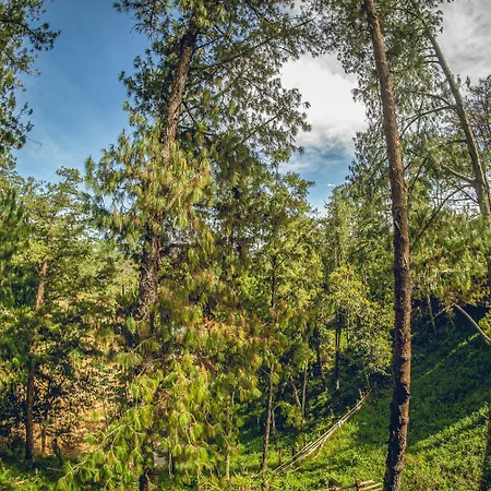 Mumu By Bernalo Hotels-3