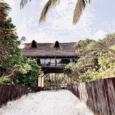 Libelula Tulum Beachfront Hotel-3