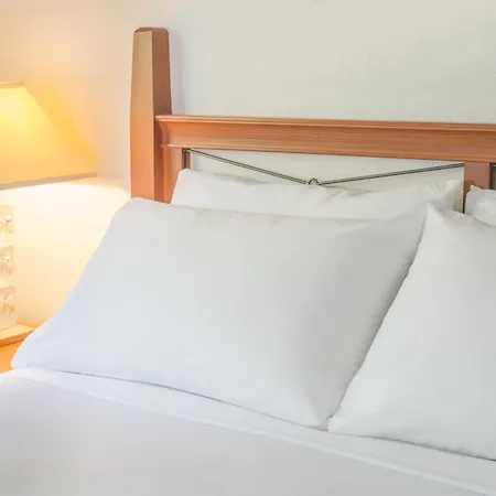 Robin Hood Inn And Suites-2