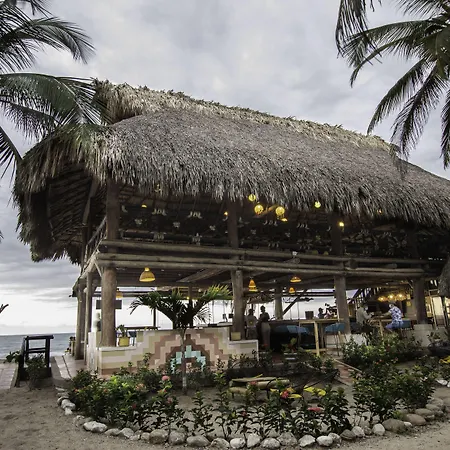 Socialtel Palomino - Formerly Selina Palomino-2