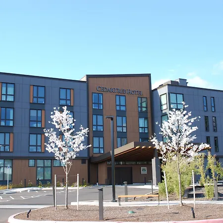 Cedartree Hotel Portland Hillsboro-3