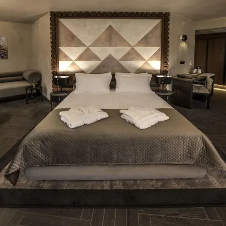 Hotel Bosfora Plus-3