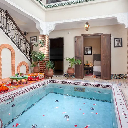 Riad Salman-3