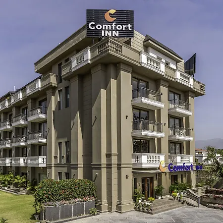 Comfort Inn Dehradun-3