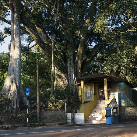 W15 Hanthana Estate Kandy-3