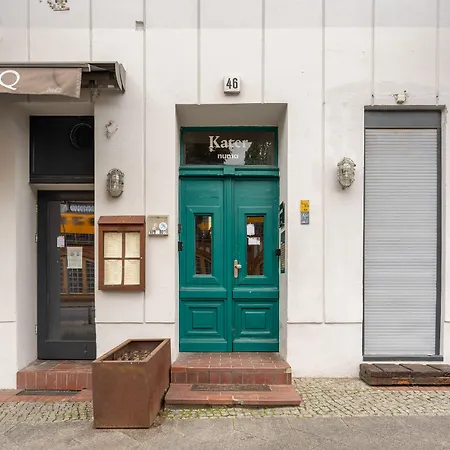 Numa Berlin Kater-2