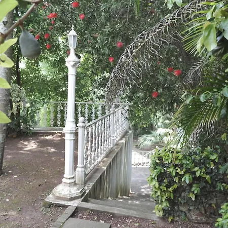 The Whitehouse Bed And Breakfast-3