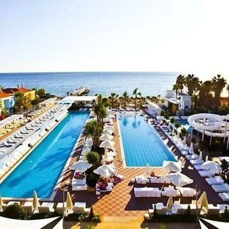 Q Premium Resort Hotel-2
