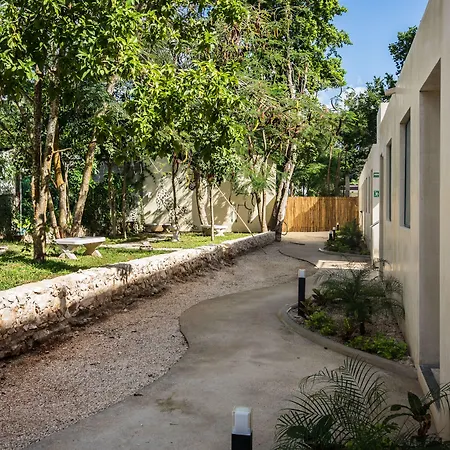 Waye Valladolid Centro - Sustainable, Authentic Experiences & Pet Friendly Boutique Hotel-2