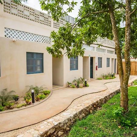 Waye Valladolid Centro - Sustainable, Authentic Experiences & Pet Friendly Boutique Hotel-3