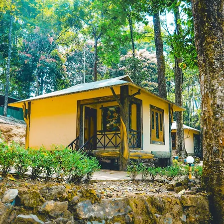Vythiri Wild Forest Resort-3