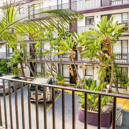 Hotel Suites Royal-2