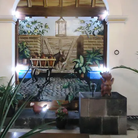 Hotel Concierge Plaza Colima-2