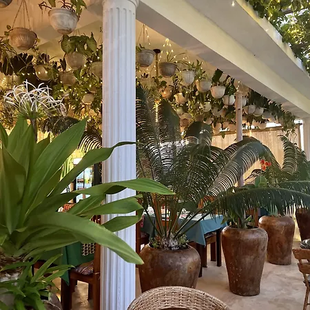 Gadea Boutique Hotel (Adults Only)-3