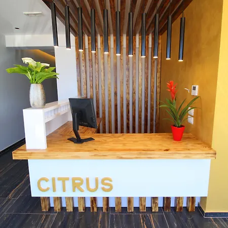 Hotel Citrus-3