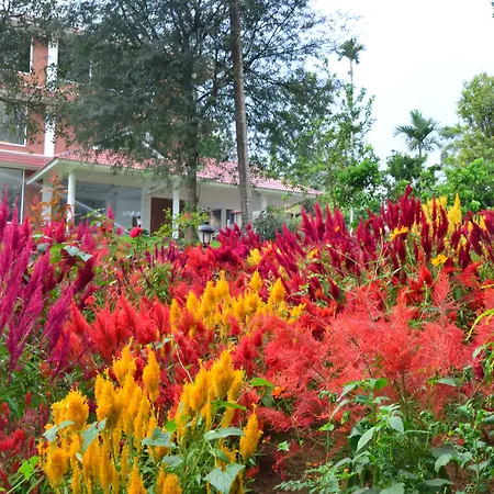 Lakerose Wayanad Resort-2