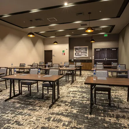 Courtyard By Marriott San Luis Potosi, Los Lagos-2