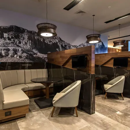 Courtyard By Marriott San Luis Potosi, Los Lagos-3