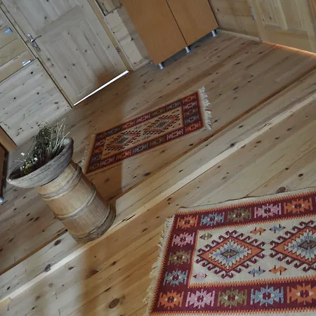 Tanevit Dağ Evi-2