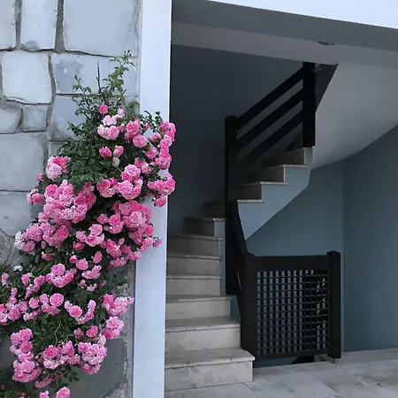 Siesta Hotel-2